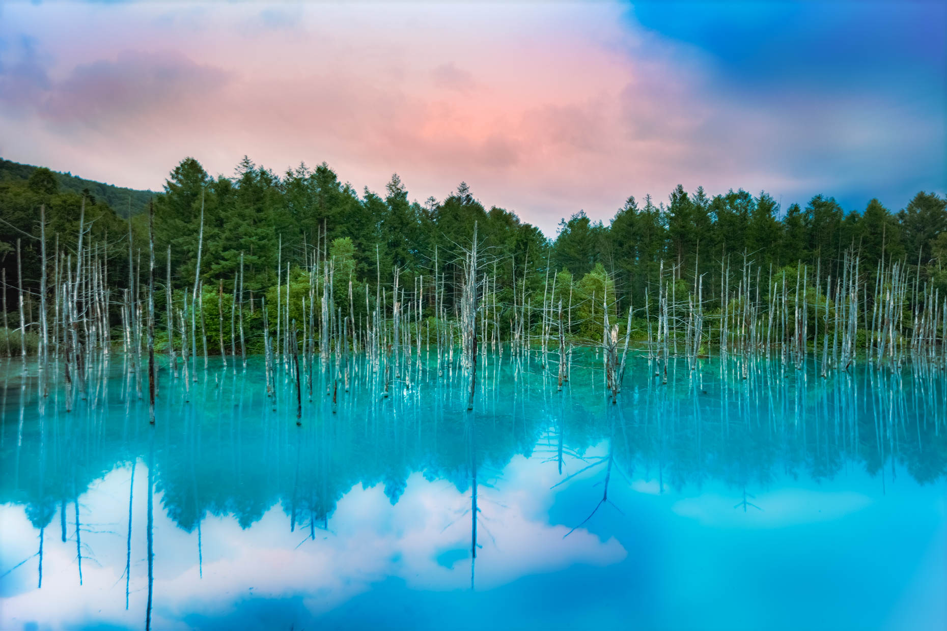 BluePond_HongHuazheng