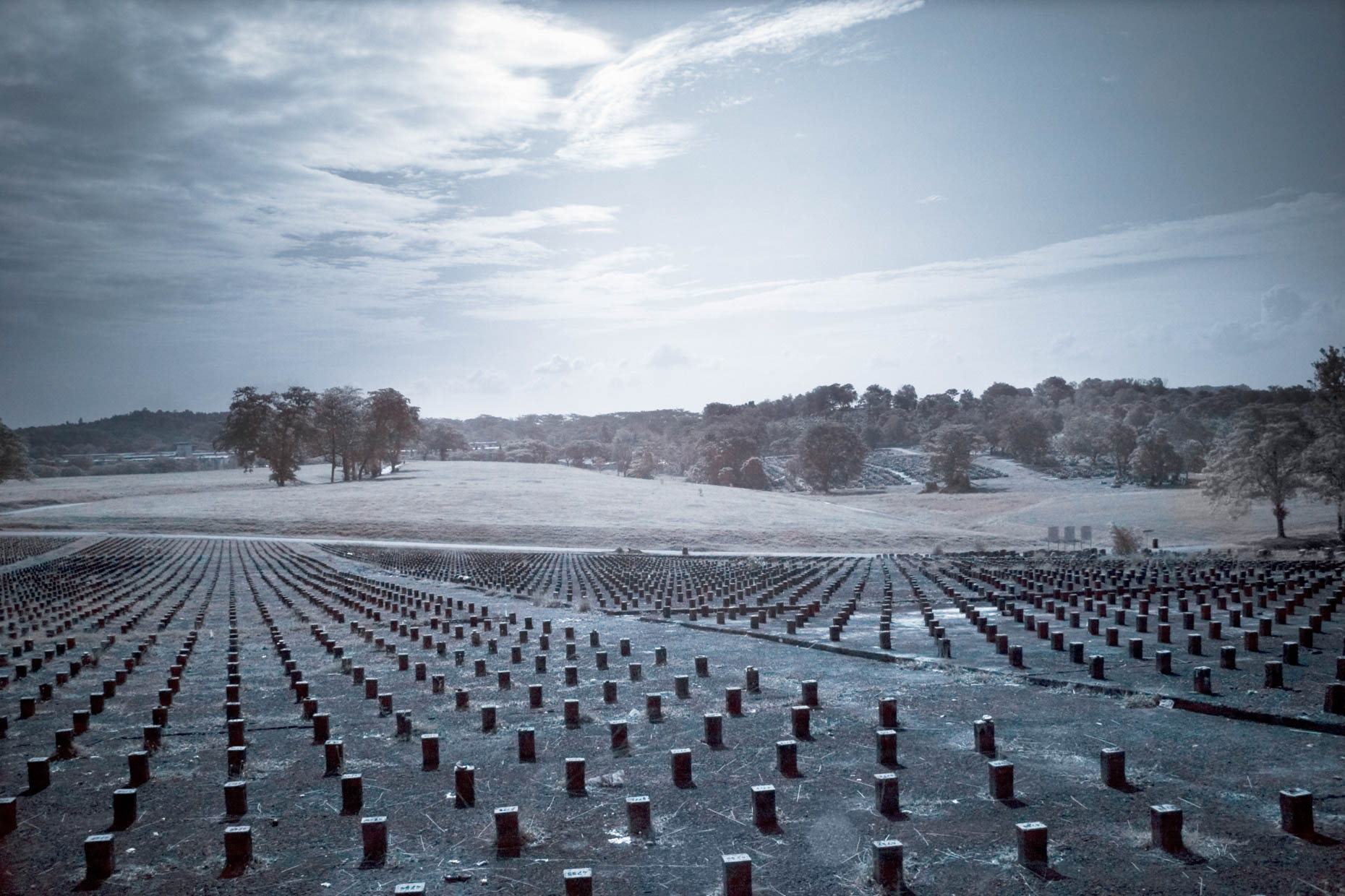 HongHuazheng-SingaporeCemetery-UnmarkedGraves
