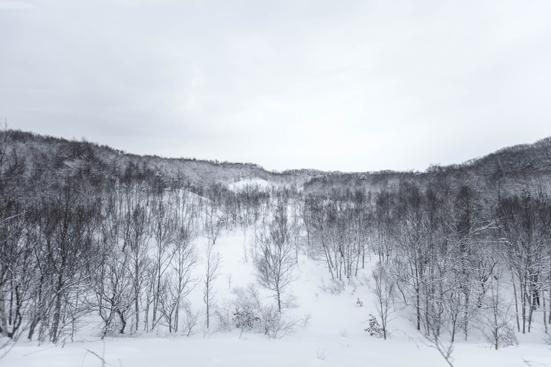 Winter_HongHuazheng